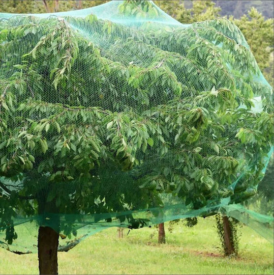 Abwehrnetz Vögel 4x10m