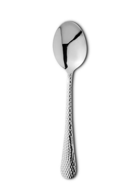 GTSA Löffelset Abendessen Edelstahl Silber 19.8cm 12Stück