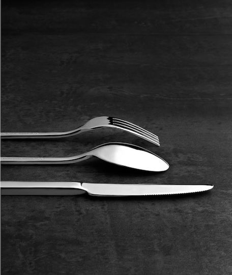 Triton Spoon Set Desert / Ice Cream