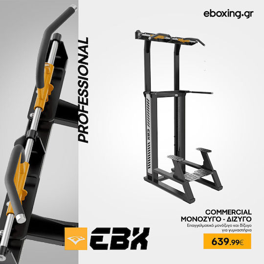 eBoxing Δίζυγο