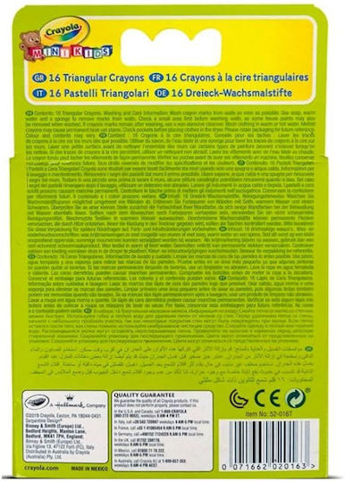 Crayola Миещи се Кери Бои 16 Броя