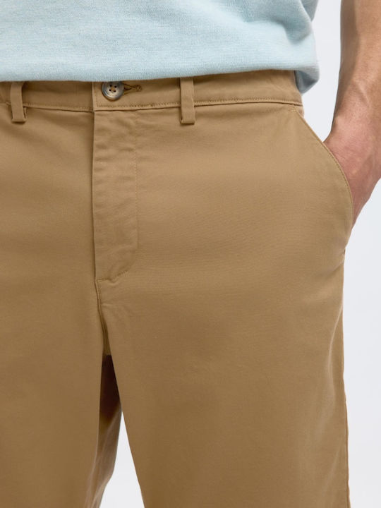 Men's Shorts Chino Greige (beige)