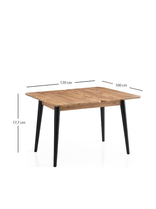 Dolunay Extendable Wooden Kitchen Table with Polypropylene Frame Atlantic Pine - Black 100(+20)x60x79.5cm