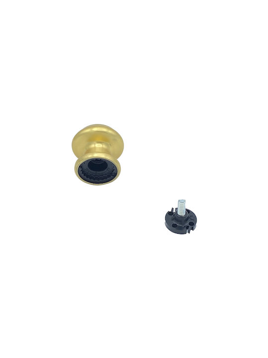 Saguatti Μπουλ Εξώπορτας Polished Gold