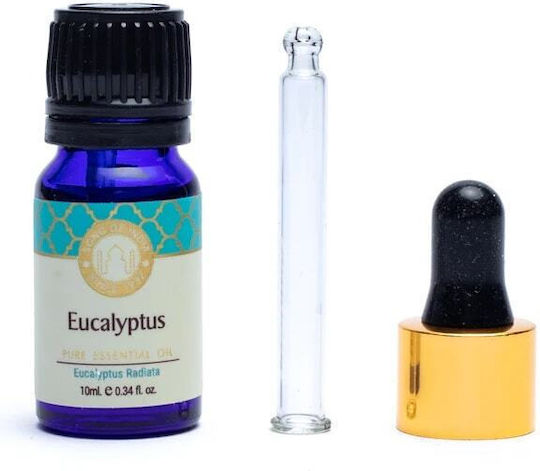 Ulei Esențial Natural De Eucalipt Eucalyptus Pure Essential Oil Song India 10ml