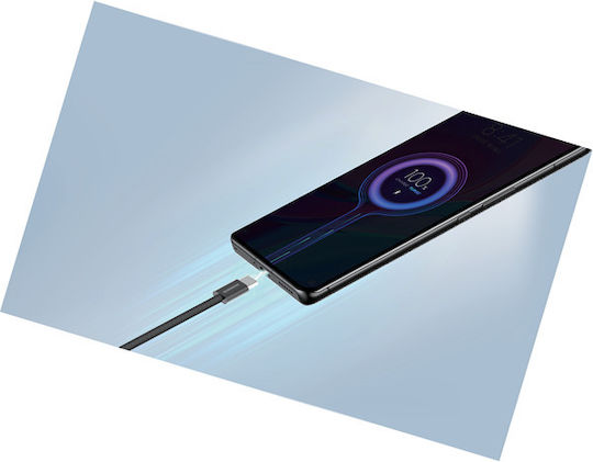 Riversong Lotus USB 2.0 Cable USB-C male - USB-C 60W PD Μαύρο 2m CT53ABL