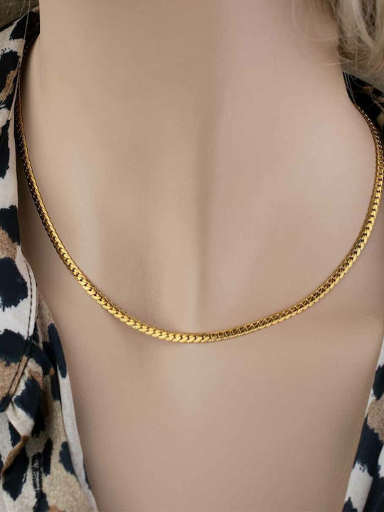 Fior Chain Gold 3mm Αλυσίδα Λαιμού Ανοξείδωτο Ατσάλι 316l 45 Cm Fior Chain Gold 3mm Αλυσίδα Λαιμού Ανοξείδωτο Ατσάλι 316l 45 Cm
