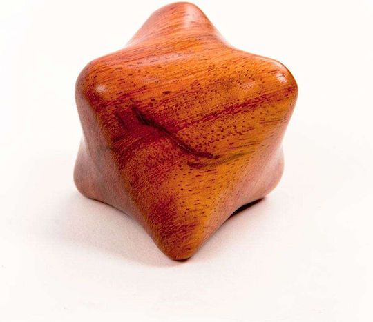 Wooden Reflexology Tools Set 4 Cube Cross Birdy Stick