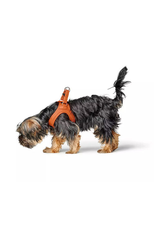 Δερμάτινο Σαμαράκι Hunter Harness Geschirr Hilo 33-37/xs Orange