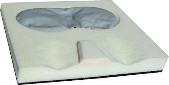 Composite Anatomical Seat Pillow Embossed Surface Viscoelastic Liquid Gel 44x44x9/8cm Capelli Kc504444