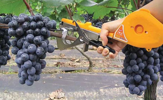 Plant Tie GV-867B