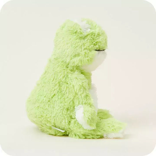 Warmies Double Use Frog
