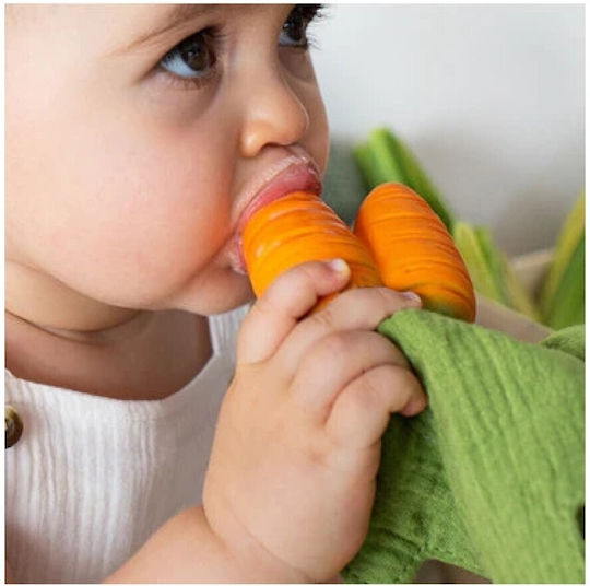 Oli&Carol Cathy The Carrot Teether Ring for Teething made of Rubber for 0 Months+