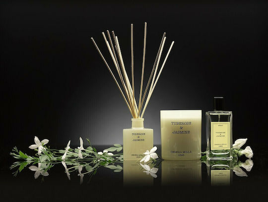 Αρωματικό Sticks Tuberose & Jasmine 100ml Ιβουάρ Γυαλί 5.5x5.5x8 Cereria Molla