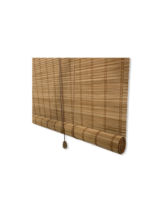 bambus pflanze für die wohnung Bambus für den Balkon kaufen – Green Me Up main image 0