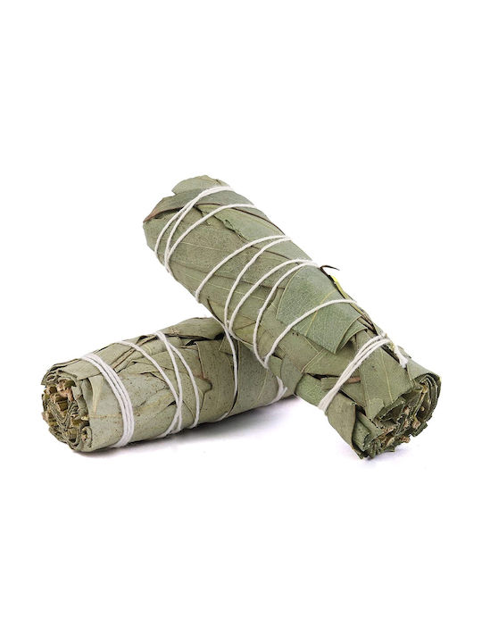 Băț De Fumigație Salvie Albă Eucaliptus 10x3cm Set 2 Bățuri De Tămâie