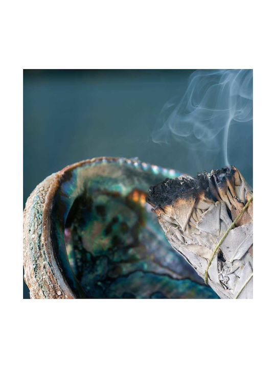 Băț De Fumigație Salvie Albă Eucaliptus 10x3cm Set 2 Bățuri De Tămâie