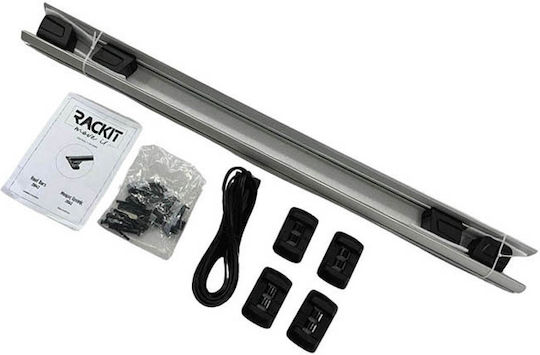 Auto Gs (with Roof Rack Legs and Lock) Silver