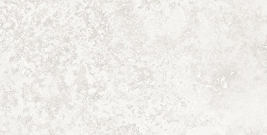 Argenta Ceramica Floor Interior Matte Tile 50x25cm Light