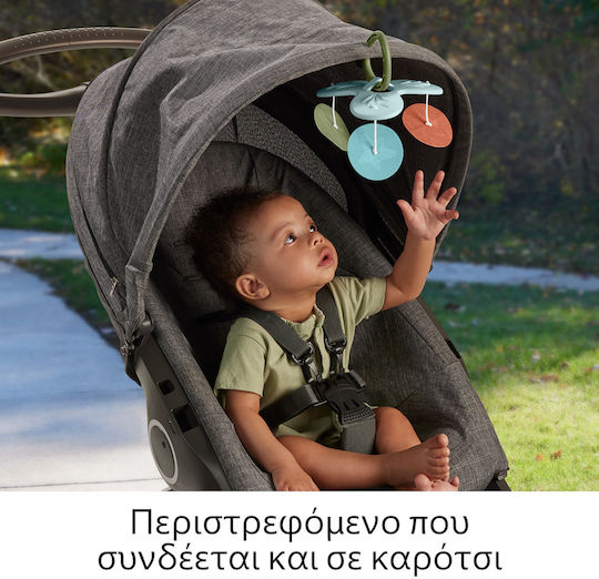 Fisher Price Activity Gym for Newborns