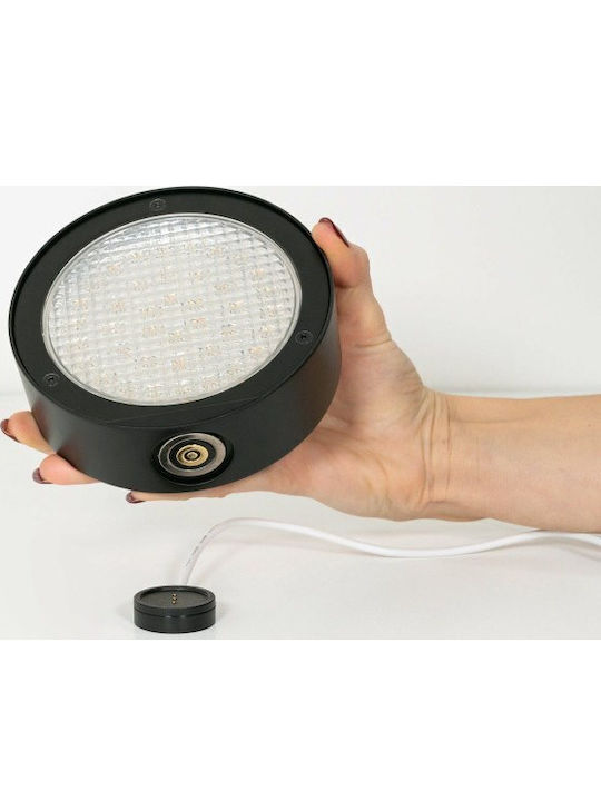 Zafferano Wandmontiertes Außenbeleuchtung LED IP65 3.5W mit Einstellbares Weiß Licht