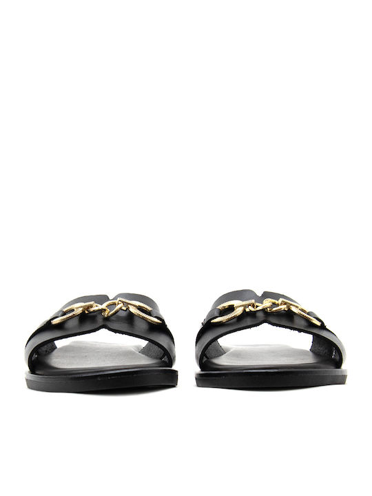 Bacali Collection