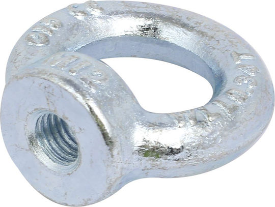 Pad Eye Female Lifting Ring Galvanized Din582 M18