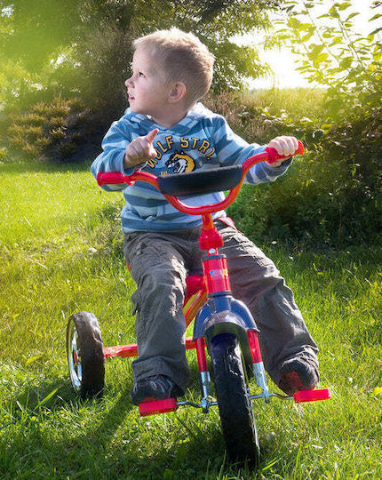 Toyz Kids Tricycle Bicycle York for 3-5 Years Blue