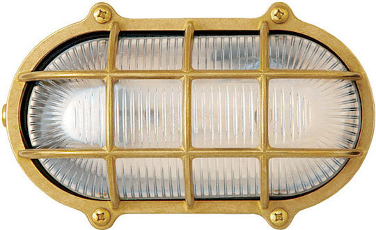 Lightup Broască Testoasă Aurie Lightup Broască Testoasă Aurie