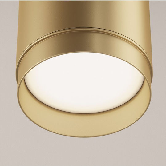 Maytoni Pendant Light Gold with Socket GX53