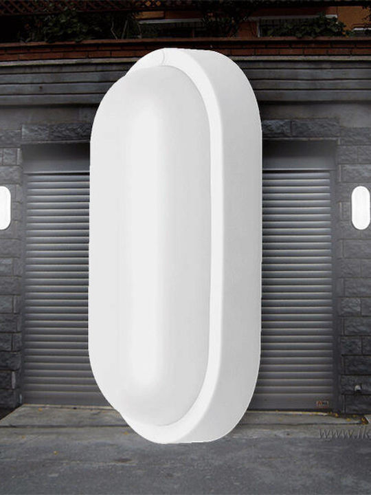 Braytron Επιτοίχια Χελώνα Εξωτερική LED IP54 8W με Ψυχρό Λευκό Φως 16x9x5.1εκ.