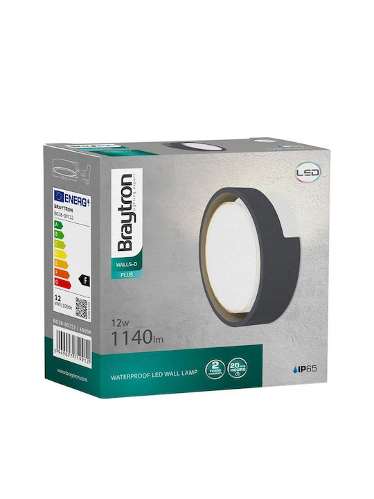Braytron Επιτοίχιο Εξωτερικό Φωτιστικό IP65