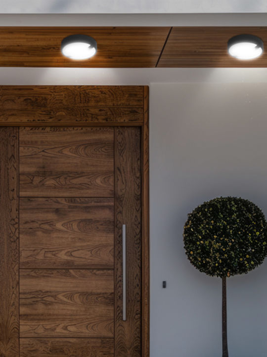 Eurolamp Wall-Mounted Outdoor Ceiling Lamp LED IP65 18W with Natural White Light 22cm