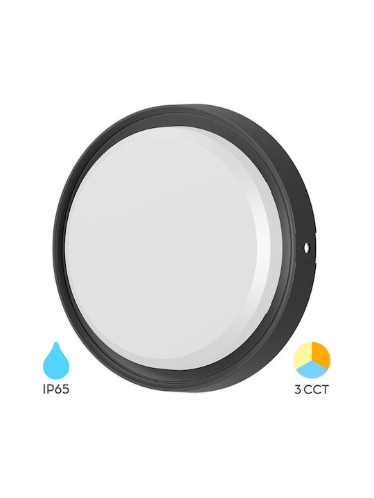 Braytron Επιτοίχια Χελώνα Εξωτερική LED IP65 12W με Ρυθμιζόμενο Λευκό Φως