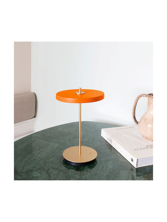 Umage Dekorative Lampe Hellblau