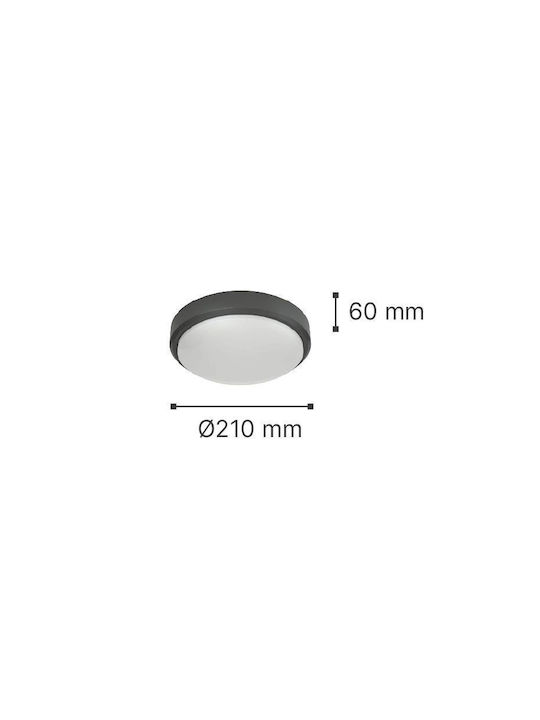 Inlight Echo Плафониера за Външен Таван с Вградено LED в Сив Цвят 80300230
