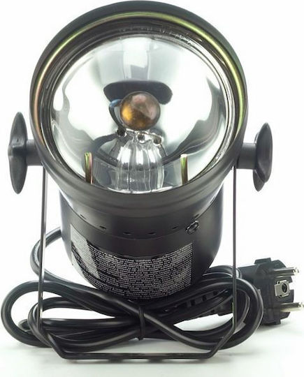Eurolite Light Mod LED ПАР