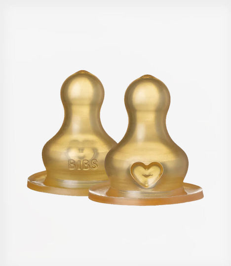 Bibs Bibs Flaschenwarzen Aus Gummi Mittlere Fluss Für 2+ Monate 2 Stück