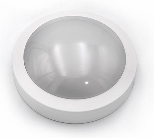 Adeleq Wandmontierte Außen-Deckenleuchte LED IP65 8W mit Warmweiß Licht