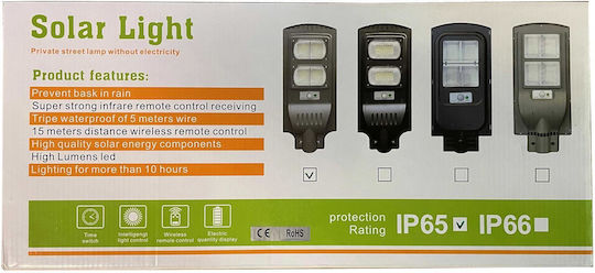 Invictus HSL-2010-30 Ηλιακό Φωτιστικό Δρόμου 30W Ψυχρό Λευκό 6000K με Φωτοκύτταρο και Τηλεχειριστήριο IP65 30x18.6εκ.