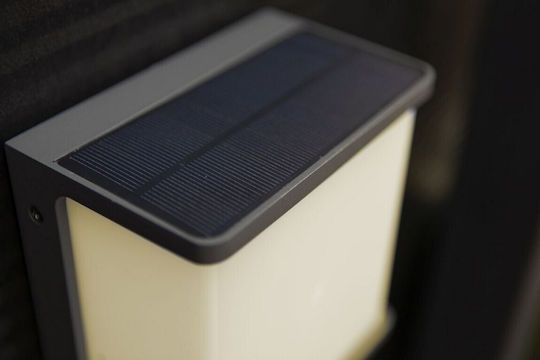Lutec Doblo Wall Mounted Solar Light 12W 1000lm Natural White 4000K with Motion Sensor IP44 15cmx9cmx17cmcm