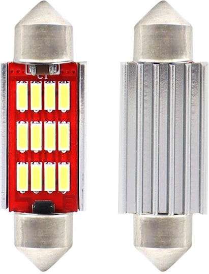 AMiO Лампи Автомобила Canbus LED 5600К Хладно бяло 12-24V 2.9W 2бр