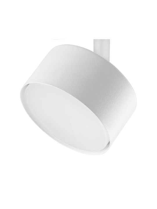 TK Lighting Единично Спот с Цокъл null в Бял Цвят
