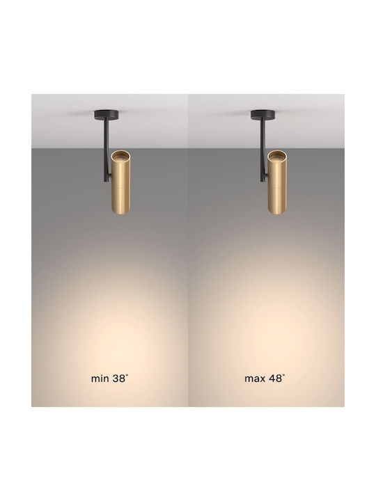 Maytoni Single Spot with Socket GU10 in Black Color