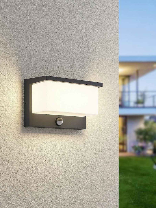 Trio Lighting Wall-Mounted Outdoor Lighting with Shade 23x12x15cm