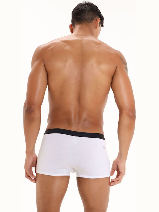 Marcuse Marcuse