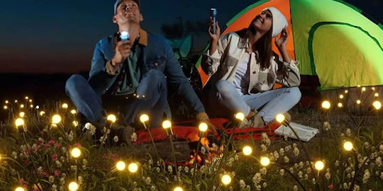 Waterproof Set of 2 Stake Solar Lights RGB with Photocell