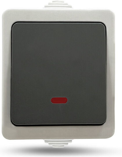 Geyer Wall Push Button Gray WOT-EU1-PA6