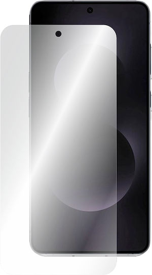 Screen Protector 2pcs (Galaxy S25 Edge)