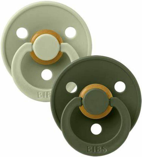 Bibs Colour Pacifiers Rubber Sage / Hunter Green for 6-18 Months 2 Pieces